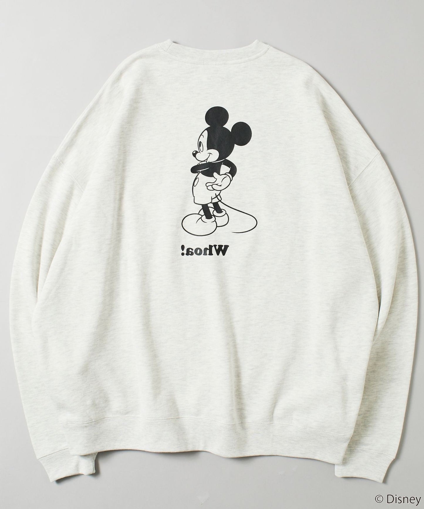 🇯🇵DISNEYxFREAK'S STORE《Crew Neck Sweatshirt 》