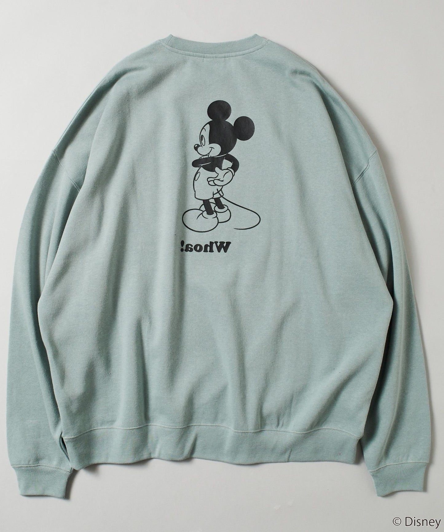 🇯🇵DISNEYxFREAK'S STORE《Crew Neck Sweatshirt 》