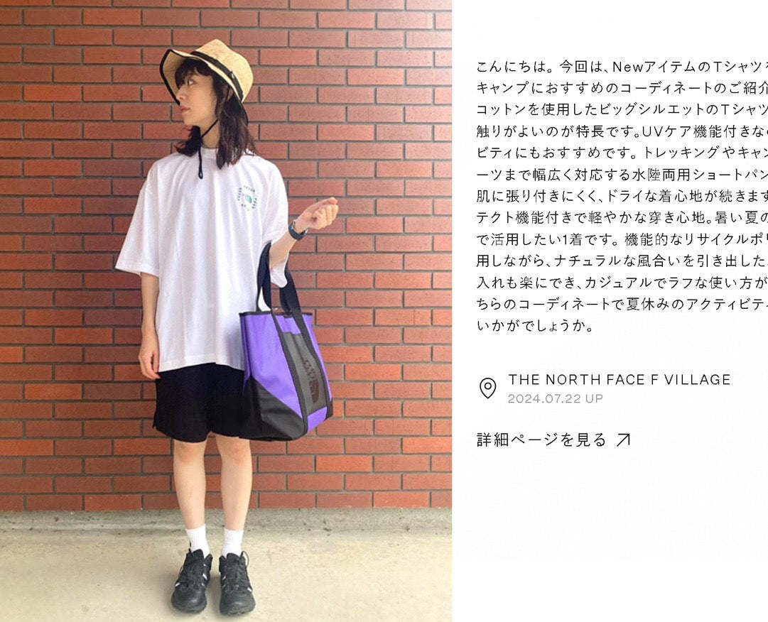 . 🇯🇵 THE NORTH FACE 《Bandana Logo t-shirt》